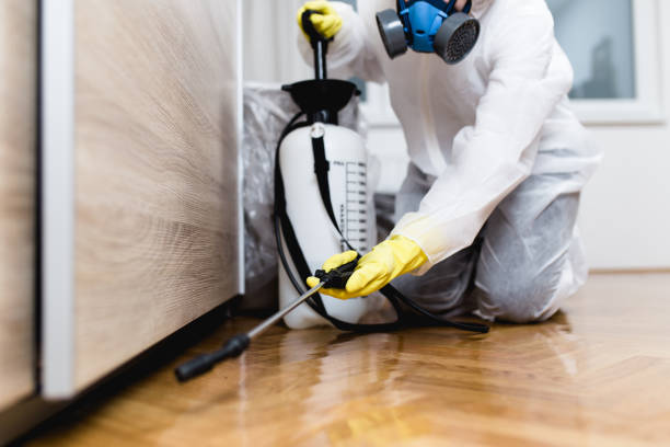 Pest Prevention Services in Wahneta, FL