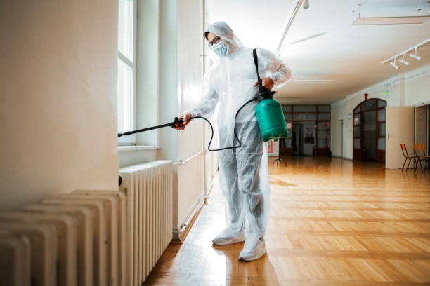 Best Wasp Removal Services  in Wahneta, FL