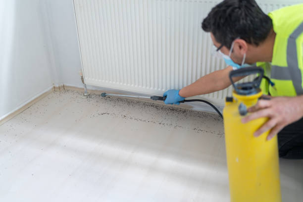 Best Pest Removal Services  in Wahneta, FL
